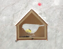DIY wood house bird feeder